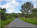 Road, Higher Hyde Heath