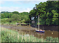 Low Tide at Tuckermarsh Quay