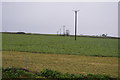 Poles across a field