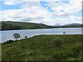 NM6751 : Loch Arienas by John Ferguson
