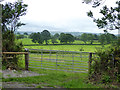 ST6108 : View south from Back Drove, Leigh by Robin Webster