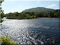 River Tay Islands