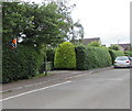 Liberal Democrats placard in a Station Road hedge, Kemble