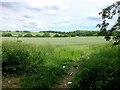 Farmland on the Outskirts of Thrybergh