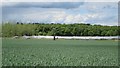 Parkhill Solar Farm