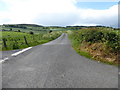 H3282 : Meaghy Road, Drumclamph / Cavandarragh by Kenneth  Allen