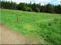 NO2206 : Path near Craigmead car park, Lomond Hills by Bill Kasman