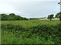 Rough grazing land SW of Ty-llwyd