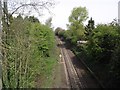 Freight railway from Leicester to Burton