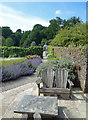 Garden Path, Buckland Abbey