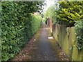 Footpath - Farmlands Road