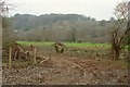 Camel valley near Grogley