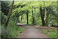 SH5571 : The Wales Coast Path near Treborth Botanic Gardens by Jeff Buck