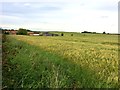 Lambcote Grange and Surrounding Crop Fields