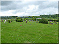 In Milborne Port cemetery