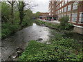 Hogsmill River