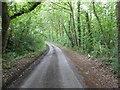 Country road near Lye Head