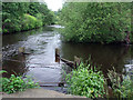 SK0095 : Glossop Brook joins the River Etherow by Stephen Burton