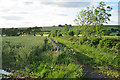 Track at Lunan Bank