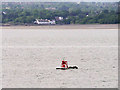 NT1781 : Port Marker Buoy in the Firth of Forth by David Dixon