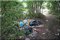 TQ4488 : Rubbish next to footpath 97 by Phil Gaskin