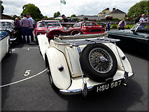 H4572 : Classic car rally Marie Curie Cancer Care, Omagh (12) by Kenneth  Allen