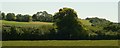 View of rolling countryside from the Cat Survival Trust #4