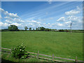 Fields near Newton Aycliffe