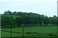 Fields  near Treesbank Farm, Eastfield