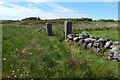 NS4759 : Old gateposts by Lairich Rig