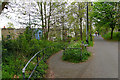 Bristol and Bath Railway Path by Whitehall Road