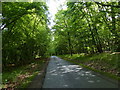 East Ferry Road in the Laughton Woods