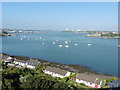 The Pembrokeshire Coast Path near Pembroke Ferry