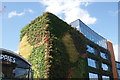 View of a planted wall on the side of the MTV Studios on Hawley Crescent