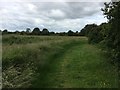 Footpath by Berkeley Pill