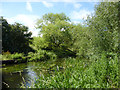 River Colne