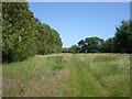 Path towards Wise Lane, West Drayton