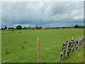 View across Horse Field to Manor Farm