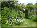 In the garden at Iden Croft Herbs