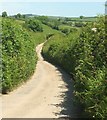 Lane to Millcombe