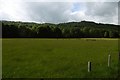 Meadow, Glen Garry