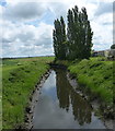 Bottesford Beck at East Butterwick