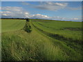 TL5241 : Fields near Little Chesterford by Hugh Venables