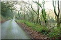 SW9450 : Lane to Crowhill by Derek Harper