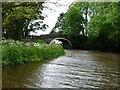 South Field Bridge [No 159], from the east