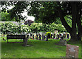 Gravestones at Christ Church