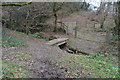 Footbridge, Porsham Wood