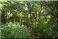 Footbridge and wooden causeway