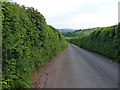 Along the narrow lane towards Llangyndeyrn