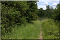 Hertfordshire Way near Little Heath